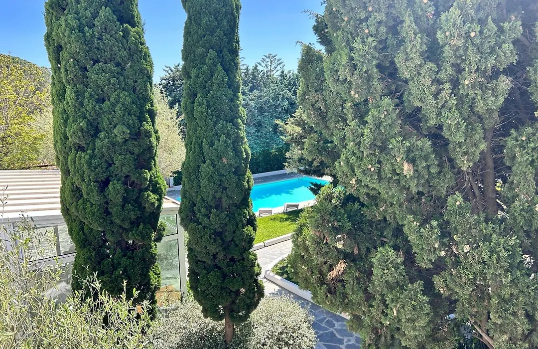 Hotel Misty-1